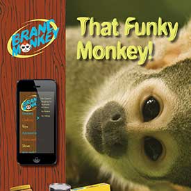 Brand Monkey Shopping app Identity and marketing collateral 2 of 2