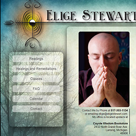 EligeStewart.com and CaroleRay.com Design and Coding